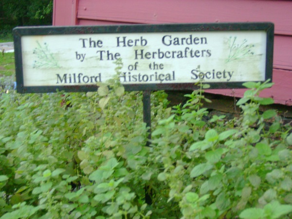 herb garden